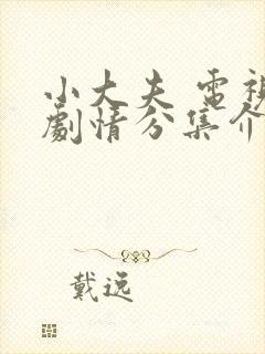 小大夫 电视剧剧情分集介绍