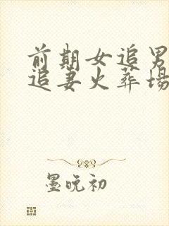 前期女追男后期追妻火葬场的小说