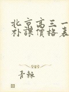 北京高三一对一补课价格表