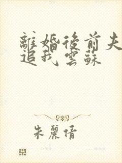 离婚后前夫总是追我云苏