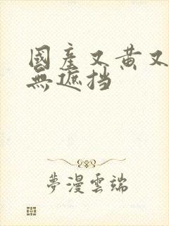 国产又黄又爽又无遮挡