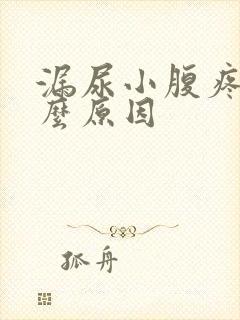 漏尿小腹疼是什么原因