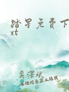 踏星免费下载txt