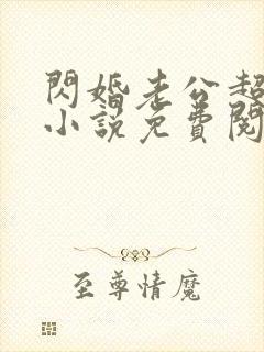 闪婚老公超给力小说免费阅读全文