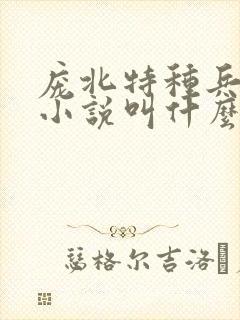 庞北特种兵穿越小说叫什么名字