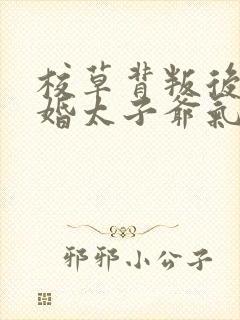 校草背叛后我闪婚太子爷气疯他苏念笙结局