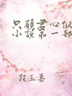 只愿君心似我心小说第一部