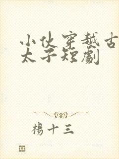 小伙穿越古代当太子短剧