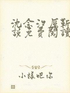 沈念汐厉靳琛小说免费阅读最新章节