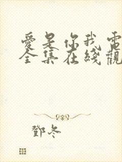 爱是你我电视剧全集在线观看免费