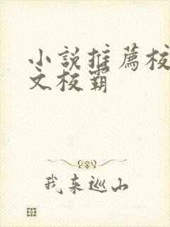 小说推荐校园甜文校霸