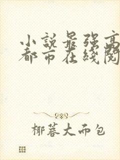 小说最强高手在都市在线阅读