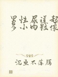 男性尿道起了好多小肉粒像小米粒