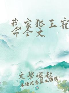 我家狐王宠妻如命全文