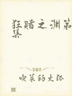 狂赌之渊第12集