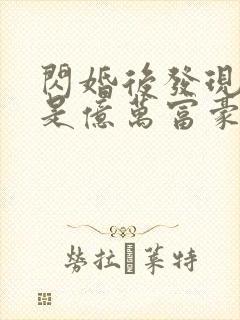 闪婚后发现老公是亿万富豪(小说)