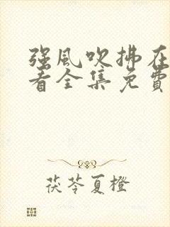 强风吹拂在线观看全集免费