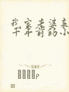 我家老婆来自一千年前的小说