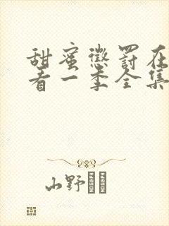 甜蜜惩罚在线观看一季全集免费