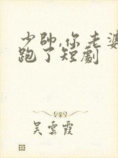 少帅,你老婆又跑了短剧