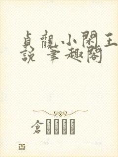 贞观小闲王 小说 笔趣阁