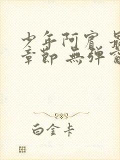 少年阿宾 最新章节 无弹窗 笔趣阁