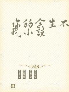 你的余生不必有我小说