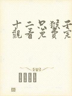 十二只猴子在线观看免费完整版