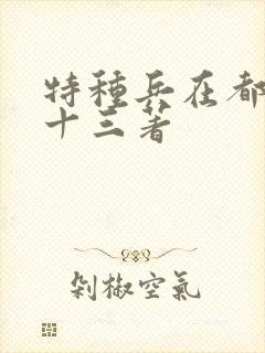 特种兵在都市夜十三著
