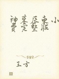 神墓辰东小说免费完整版