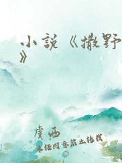 小说《撒野巫哲》