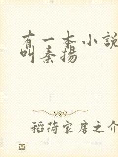 有一本小说男主叫秦扬