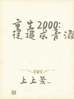 重生2000:从追求青涩校花同桌开始章节