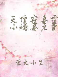 天价宠妻霍总的小娇妻免费阅读