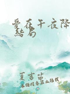 爱在午夜降临前 结局