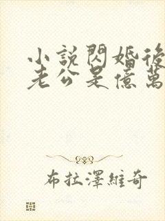 小说闪婚后发现老公是亿万富豪免费阅读