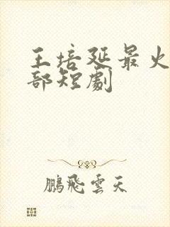 王培延最火的三部短剧