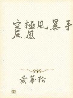 究极风暴手柄没反应