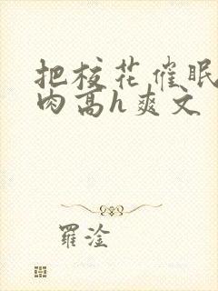 把校花催眠了纯肉高h爽文