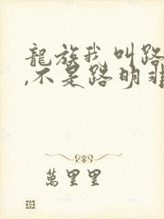 龙族我叫路明菲,不是路明非