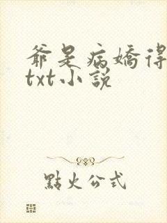 爷是病娇得宠着txt小说