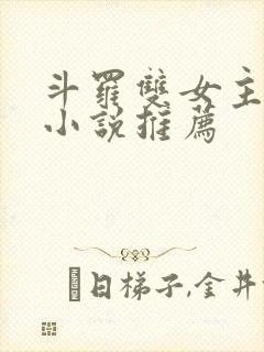 斗罗双女主同人小说推荐