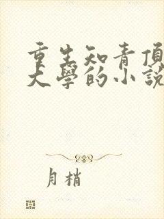 重生知青顶替上大学的小说