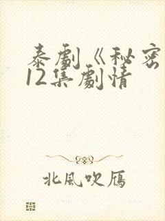 泰剧《秘密爱》12集剧情