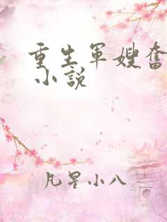 重生军嫂奋斗史 小说