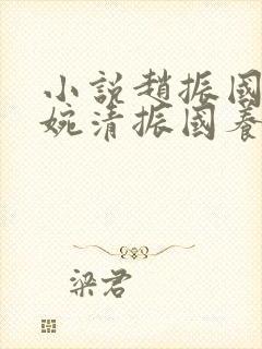 小说赵振国,宋婉清振国养家