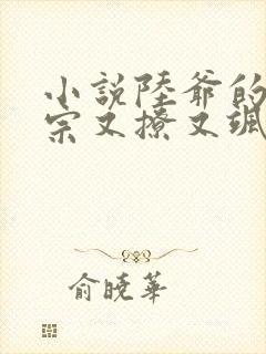 小说陆爷的小祖宗又撩又飒