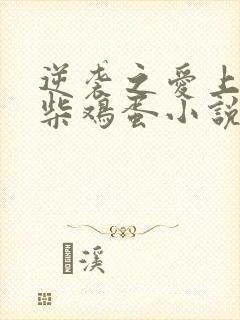 逆袭之爱上情敌柴鸡蛋小说免费阅读全文在线