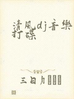 清风dj音乐网打碟
