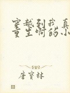 穿越到我真没想重生啊的小说